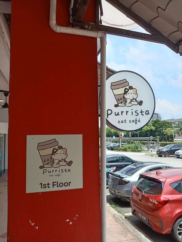 Purrista PJ Cat cafe