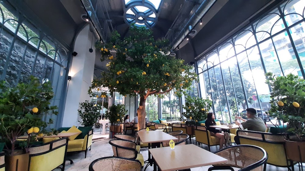 The Lemon Tree